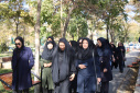 برگزاری برنامه پیاده‌روی بانوان مرکز بهداشت استان در چارچوب هفته ملی سلامت بانوان