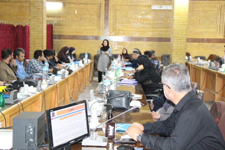 دومین روز کارگاه آموزشی مفاهیم و تدوین برنامه ملی پاسخ  نظام سلامت به بلایا ،فوریت ها EOP